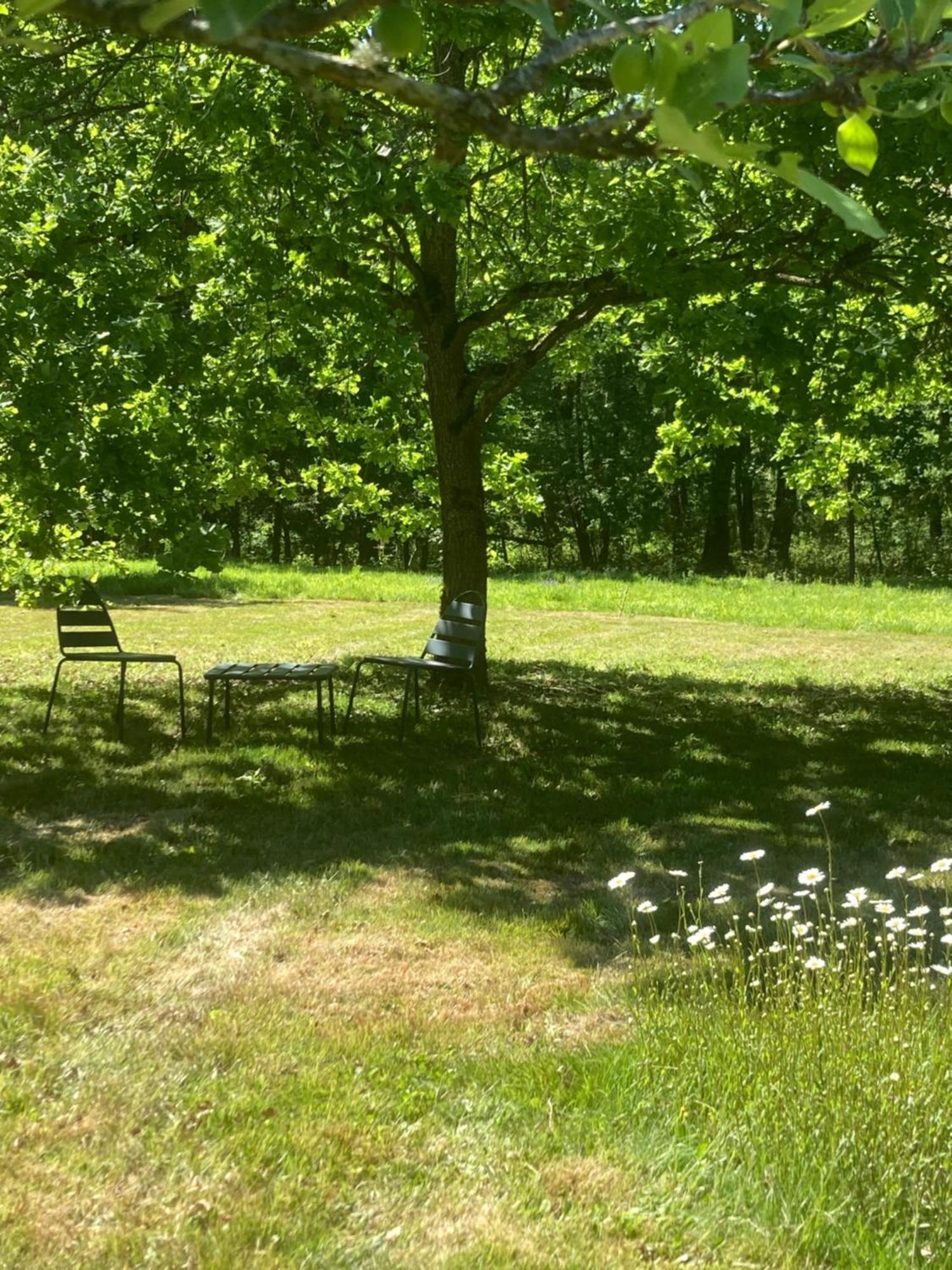 Les Bois De Ravel Chambres D'Hotes Extérieur photo