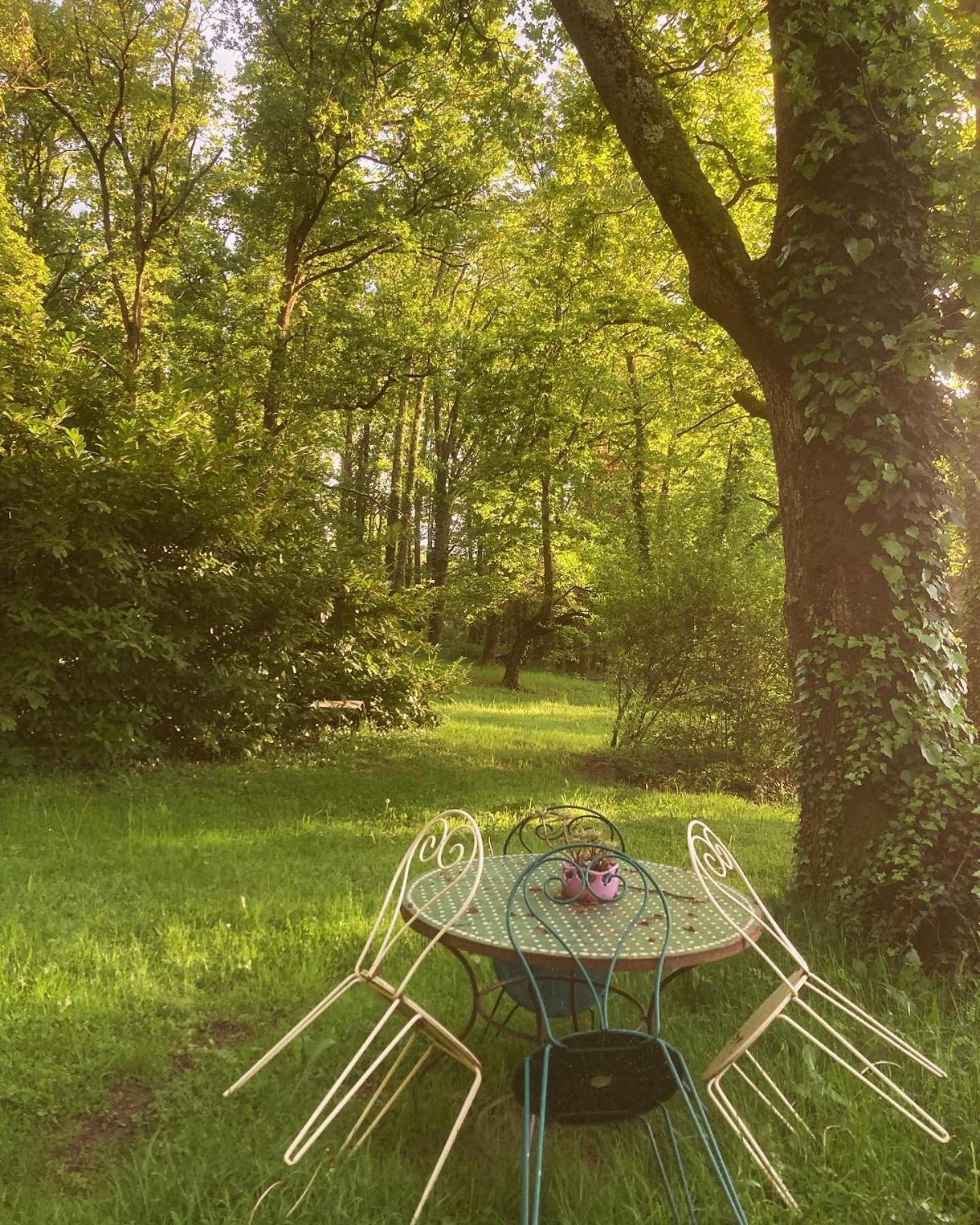 Les Bois De Ravel Chambres D'Hotes Extérieur photo
